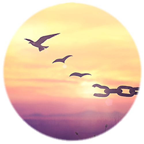 Chaîne qui devient oiseaux